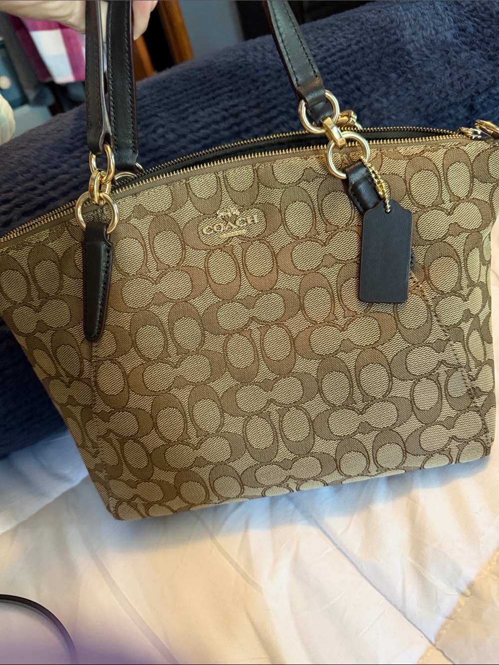 Coach Monogram Canvas Tote in Brown and Dark Brown